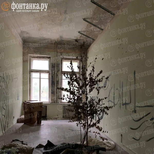 Источник: читатель «Фонтанки»