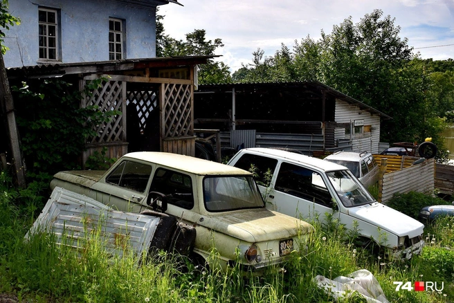 Ушастенький. Номер еще старого советского образца | Источник: Артем Краснов