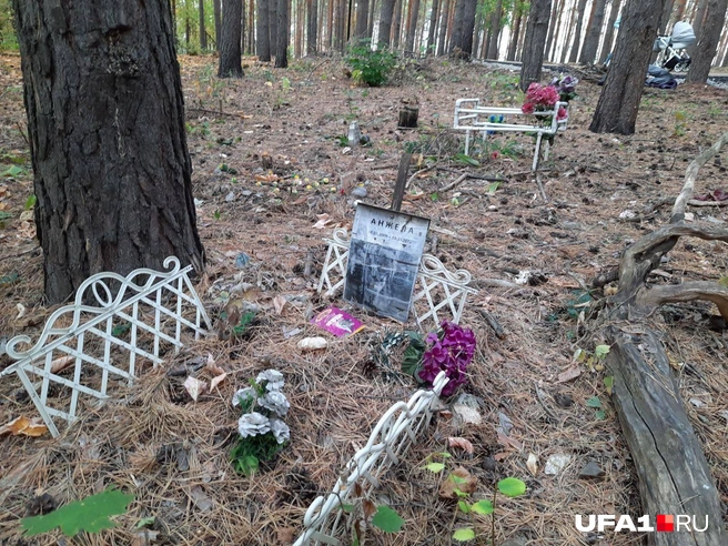Так выглядела часть кладбища еще в начале октября | Источник: Ольга Громова