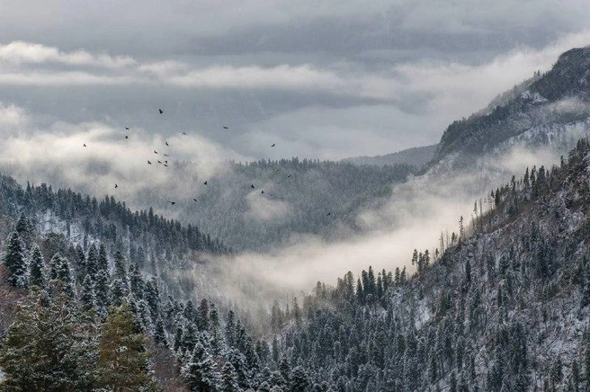 Снежный покров в высокогорье уже достиг 40–50 см, что делает передвижение по горным тропам опасным | Источник: пресс-служба Кавказского заповедника