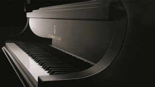 Игра в классику: рояли Steinway & Sons