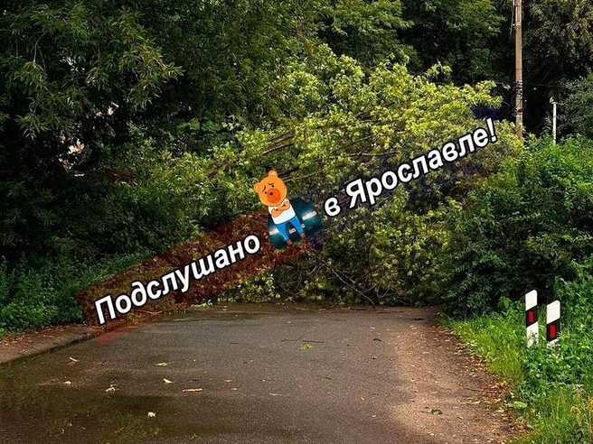 У коммунальщиков добавилось работы | Источник: Подслушано в Ярославле! / Vk.com