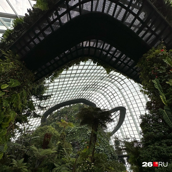 Cloud Forest в Сингапуре | Источник: Габриелла Захарова / 26.RU