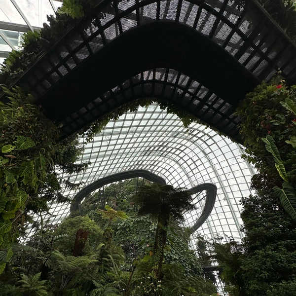 Cloud Forest в Сингапуре | Источник: Габриелла Захарова / 26.RU