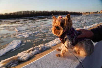 Ледоход на Томи приблизился к границе Томской области