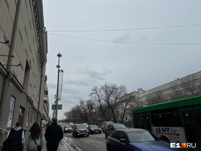 Источник: Полина Краснопевцева / E1.RU