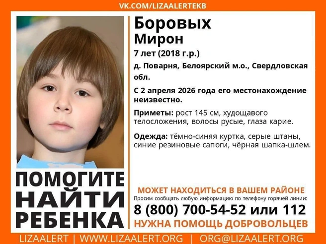 При наличии информации о местонахождении ребенка просят позвонить в поисковый штаб. | Источник: поисковый отряд «ЛизаАлерт»