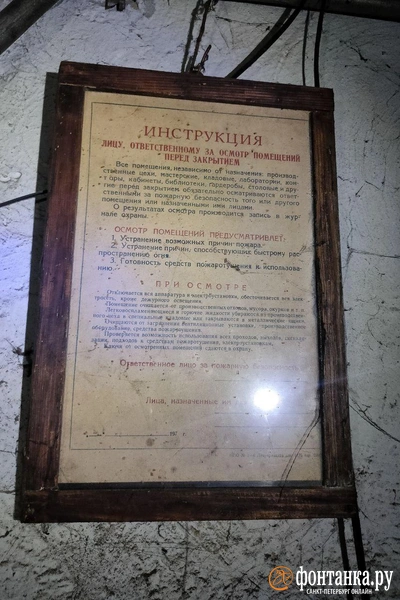 Источник: Михаил Огнев/«Фонтанка.ру»