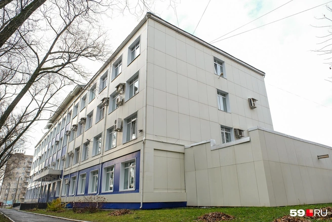В Вышке начался прием документов на подготовительную учебу для поступления в вузы | Источник: Тимофей Калмаков / 59.RU