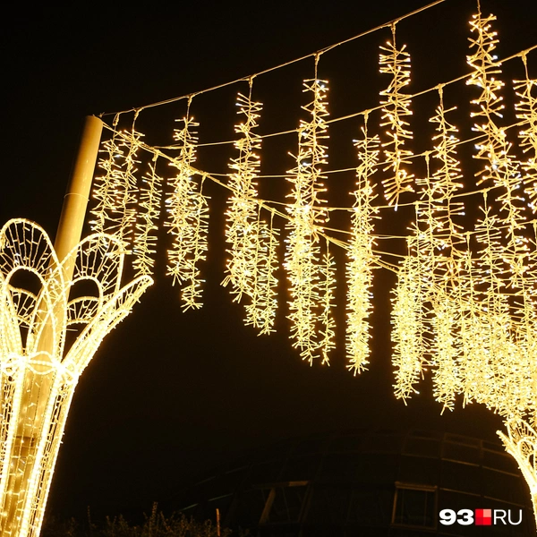 Источник: Дарья Паращенко / 93.RU