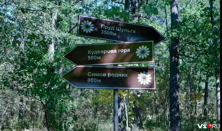 Источник: Илья Воробушкин / V1.RU