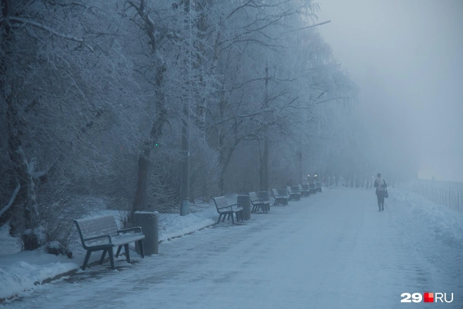 Источник: Иван Митюшёв / 29.RU