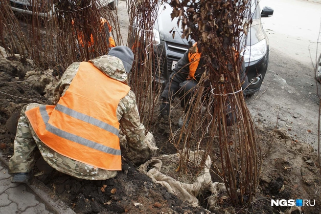 Работы провели 23 октября  | Источник: Андрей Бортко/NGS.RU