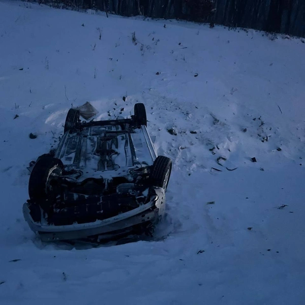 Источник: «Полиция Приморья» / T.me