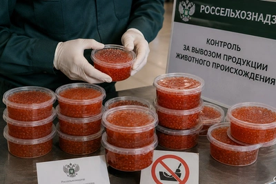 9 попыток нелегального вывоза икры пресечено на Камчатке