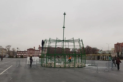 В Саратове ремонтируют городскую елку, сломанную ураганом