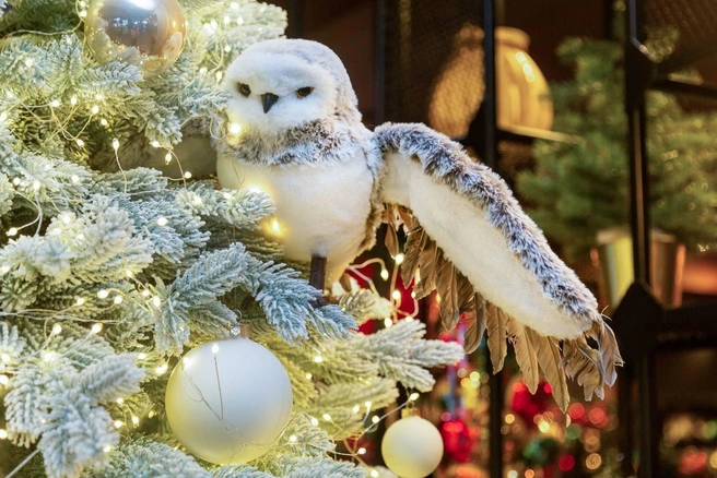 Каждый взрослый в эту пору становится немного ребенком | Источник: «Дружба»