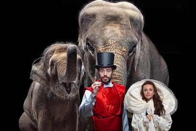 Samara Circus to Stage Unique Girl and Elephant Friendship Show