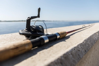 Спиннинг и удочка: ключевые различия по мнению эксперта