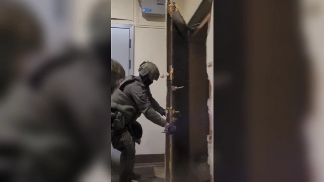 В Петербурге задержаны квартирные наркоаграрии с солидным урожаем | Источник: ГУ МВД по Санкт-Петербургу и Ленобласти