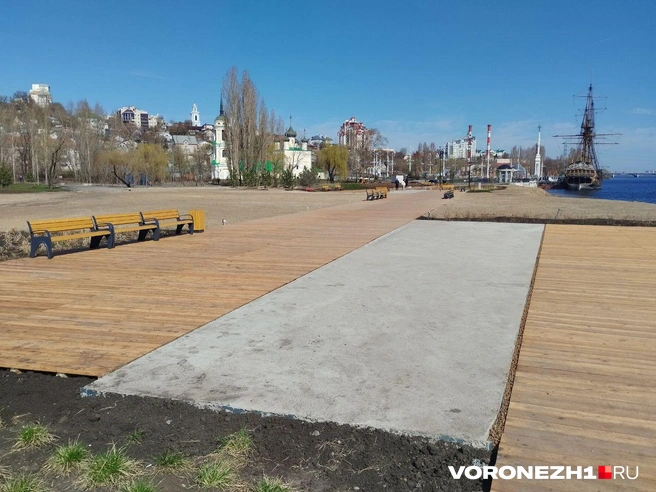 Источник: Дмитрий Волгин / Voronezh1.ru
