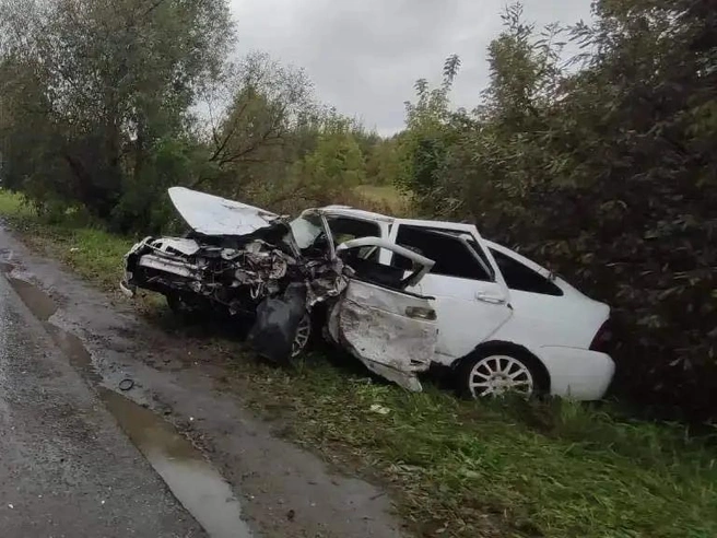 В Рязанском округе в ДТП с двумя иномарками пострадали три человека | Источник: УМВД по Рязанской области