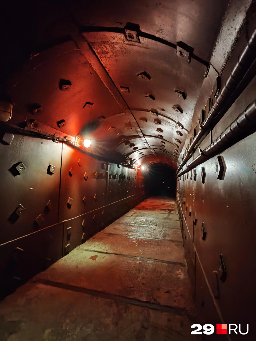 Источник: Елена Ионайтис / 29.RU