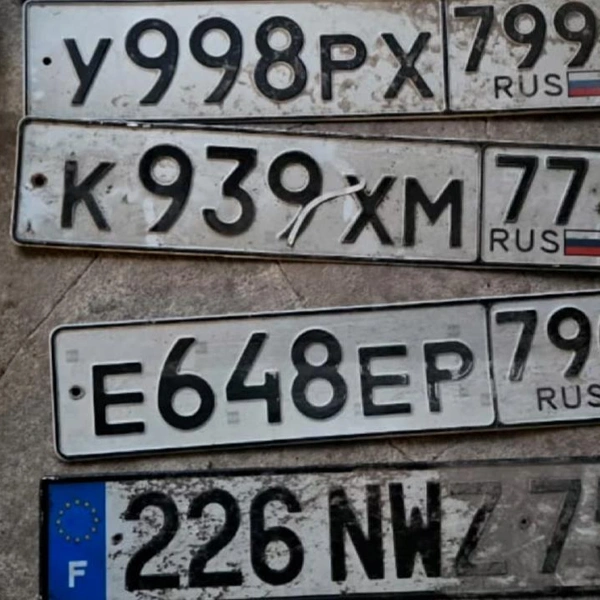 Источник: ГУ МВД России по г. Санкт-Петербургу и Ленинградской области