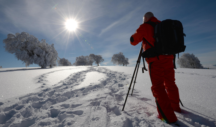 Почему снег блестит на солнце | Вокруг Света