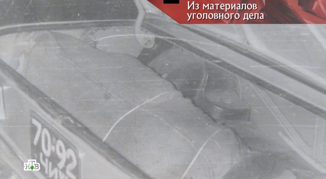 Источник: скриншот программы «Следствие вели…» с Леонидом Каневским