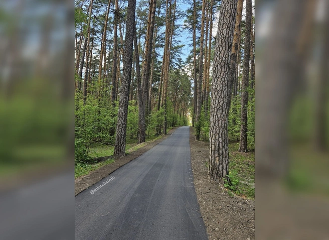 В Солотче заасфальтировали дорогу до Лысой горы | ya62.ru