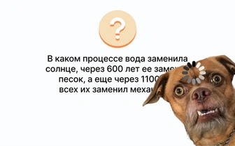 Вопрос на логику и эрудицию, который вводит в ступор взрослых: а вы ответите?