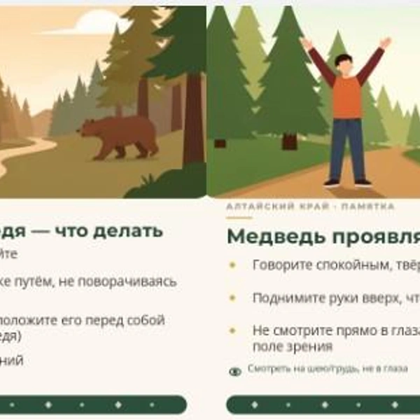 Источник: Минприроды Алтайского края