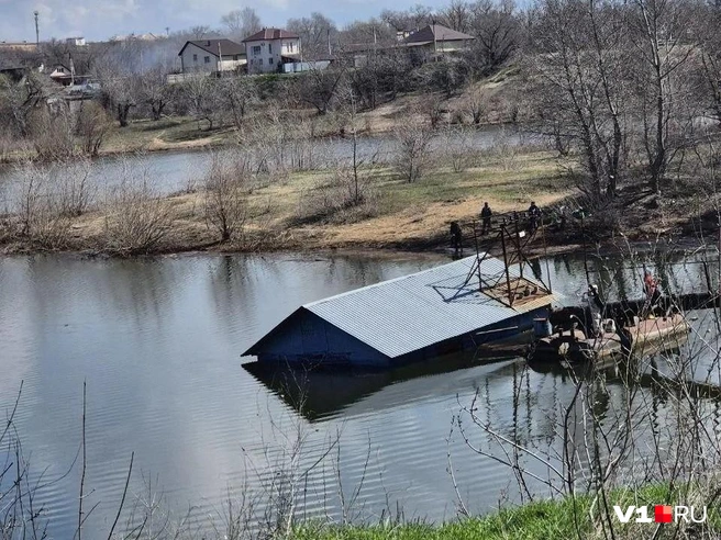 Сейчас, по словам дачников, у них до сих пор нет воды | Источник: читатели V1.RU