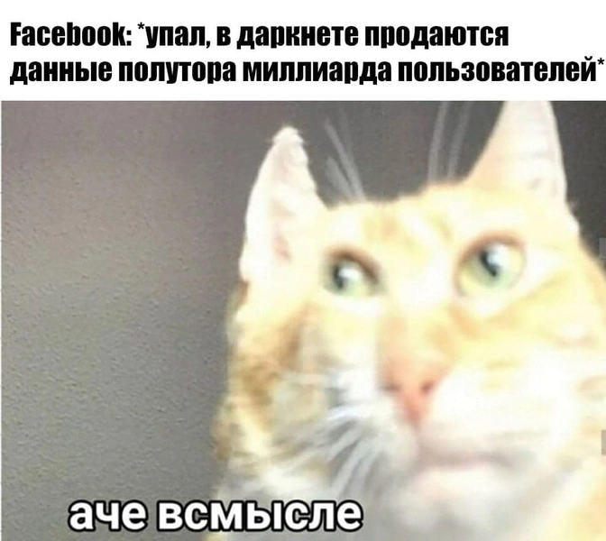 Наташа, Марк все уронил: шутки и мемы про глобальный сбой в соцсетях