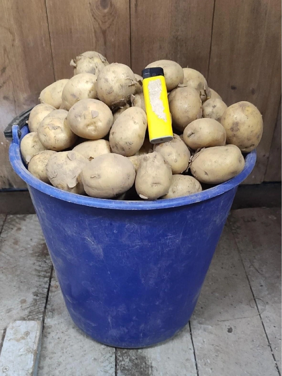 Источник: Мурманский онлайн рынок. Куплю. Продам. Пайки / Vk.com
