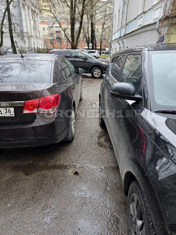 Источник: Читатель Voronezh1.ru
