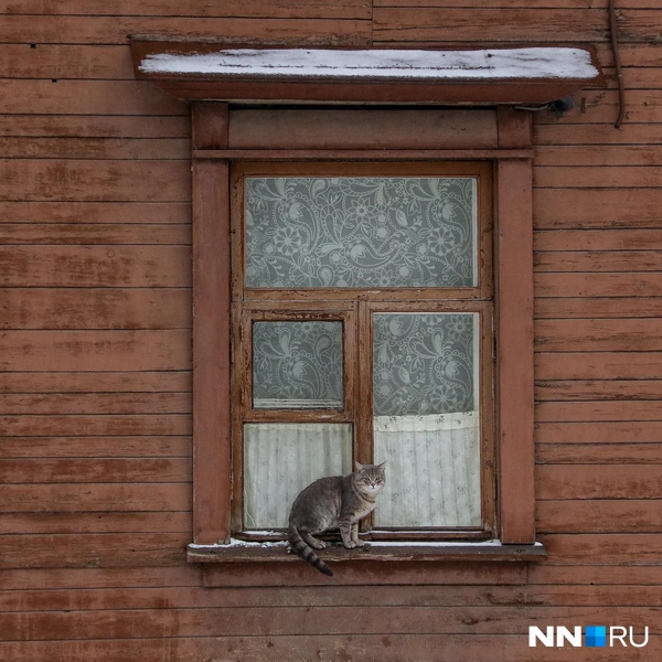 Источник: Наталья Бурухина / NN.RU