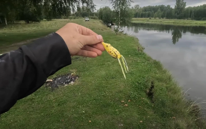 Берите на заметку, эксперт советует | Источник: Alex Ural Angler / youtube.com