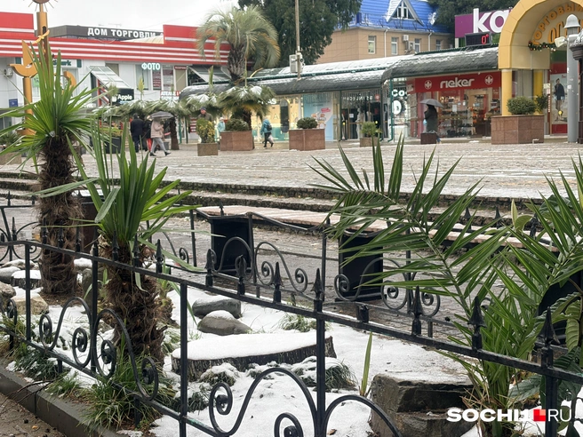 Непривычный Адлер в снегу  | Источник: Анна Грицевич / SOCHI1.RU