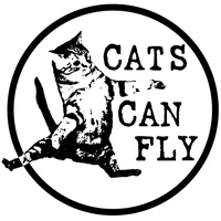 Аватарка Cats Can Fly