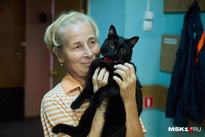 Кошка Блэки&nbsp;— местная любимица, которая радует не только пожарных, но и уборщицу | Источник: Дмитрий Толстошеев / MSK1.RU