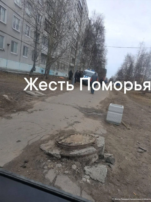 Источник: Жесть Поморья | Архангельск и область / t.me