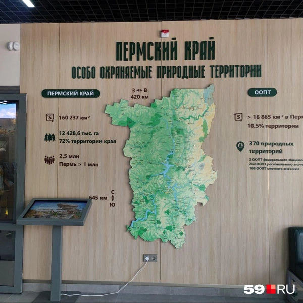 На входе справа&nbsp;— большая карта особо охраняемых природных территорий Прикамья | Источник: Наталия Главатских / 59.RU