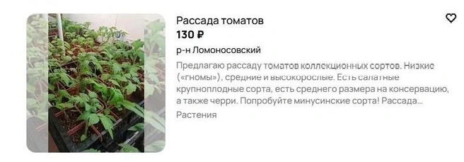 Источник: Avito.ru