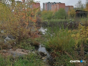 Кипяток из разбитого колодца топит гаражи в Чите — они складываются как карточные домики | Источник: очевидец
