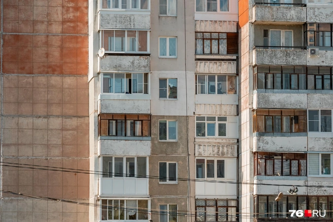 Даже обувь на проводах воспринимается как часть городской эстетики | Источник: Александр Куренной / 76.RU