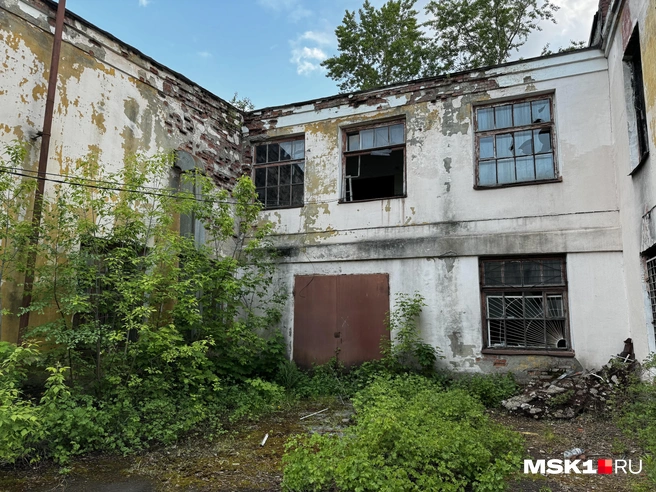 Источник: Алина Мельникова / MSK1.RU
