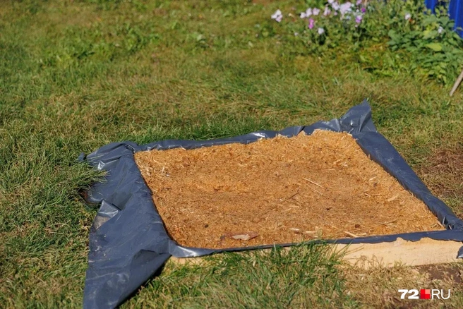 Это дезинфицирующий коврик для санитарной защиты. Его устанавливают перед входом в животноводческие помещения или дома, где держат скотину. Теперь такие есть в Долгушино | Источник: Ирина Шарова / 72.RU