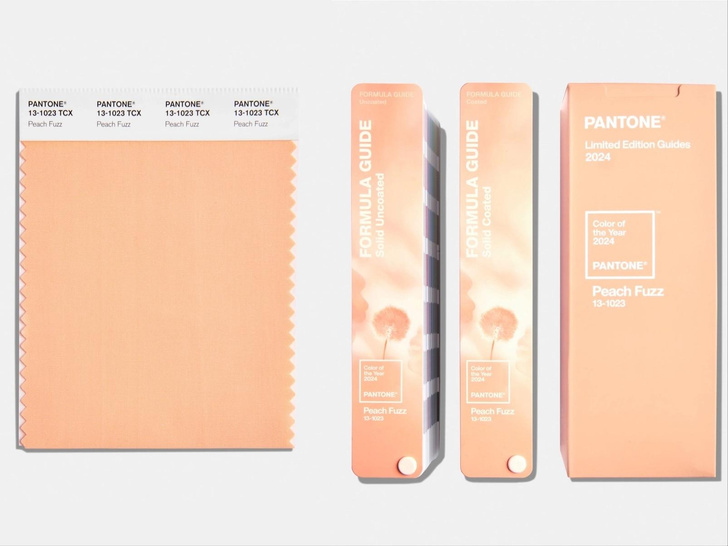 Институт цвета Pantone объявил главным цветом 2024 года «персиковый пушок»